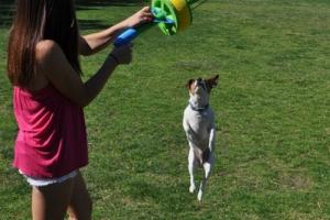 HurriK9: 100+ Foot Ring Launching Fetch Toy for Dogs