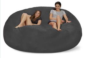 Chill Bag: Largest Bean Bag?