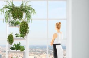 SUPRA GARDEN: Hydroponic Home Garden System