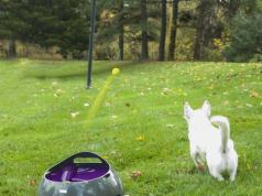 PetSafe Automatic Ball Launcher for Dogs