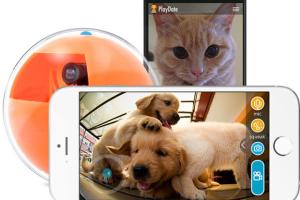 PlayDate: Smart App-enabled Ball + Pet Camera