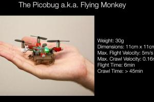 Picobug: Tiny Robot Can Fly, Run, Grasp