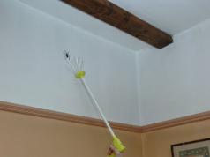 Spider Catcher: Catch & Remove Spiders from a Safe Distance