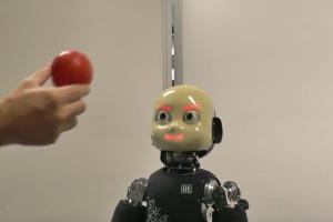 6-DoF Gaze Controller for Humanoid Robots