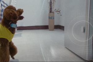 Spot Collar: Invisible Fence for Dogs