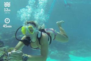 AirBuddy Tankless Dive System
