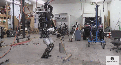 Atlas the Robot