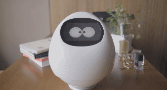 Tapia Smart Robot Companion