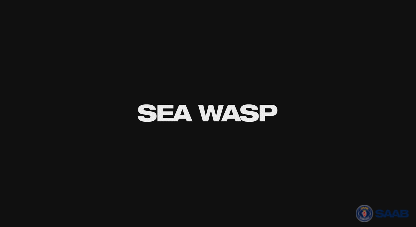 sea wasp