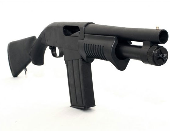 Dominion-Arms-Grizzly-Mag-8