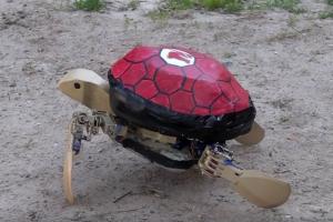 Robo Terp 3 Bio-inspired Amphibious Robot