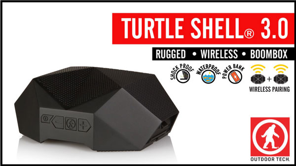 turtle-shell-3