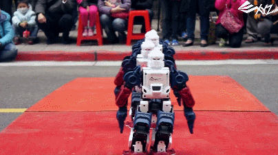 XYZrobot Bolide