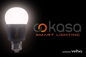 Kasa Bluetooth LED Bulb for Smart Homes