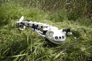This Robot Has 3D Printed Bones, Mimics How Salamanders Move