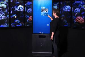 Portrait: Touch & Motion Tracking Kiosk from Ideum