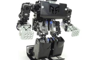 RoboBuilder RQ-HUNO Robotic Humanoid Kit