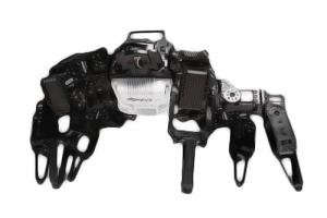 XYZrobot Bolide Robot Spider Doing Pushups