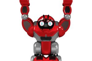 Boombot Humanoid Robot for Kids