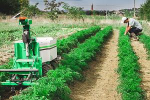 Oz Robotic Weeder Reduces Workload