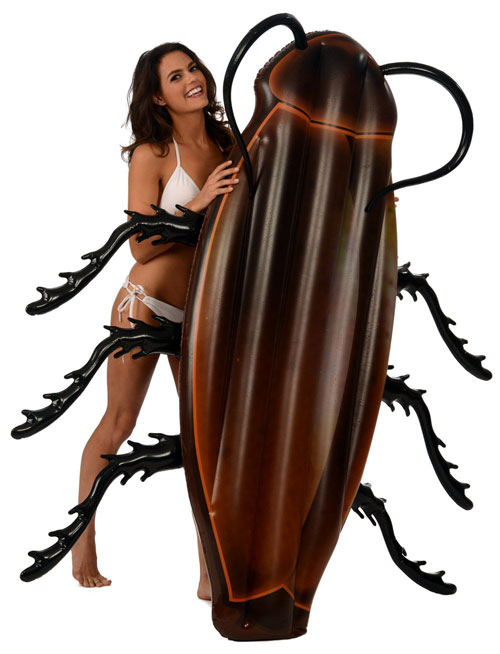 Kangaroo's-Gigantic-Cockroach-Raft