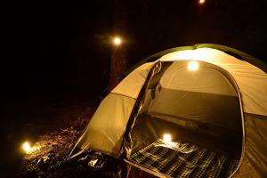 TripLit Portable OLED Lamp with Solar Charger