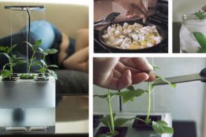 FogBox Desktop Aeroponics System: Grow Plants with Fog