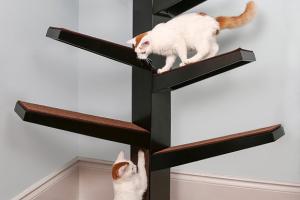 Catalpa Cat Tree for Multi-cat Homes