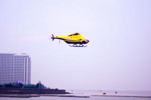 ZYG 800 Unmanned Helicopter