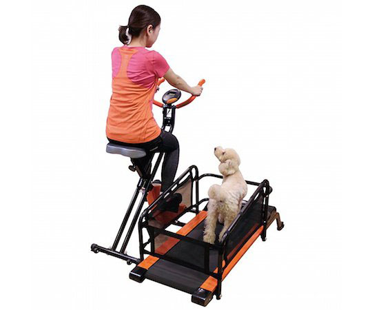 doggy-health-run-treadmill-for-pet-owners