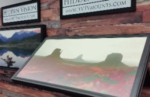 HIDDEN VISION Flip-Around Gun Storage System