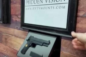 HIDDEN VISION In-wall Gun Concealment System