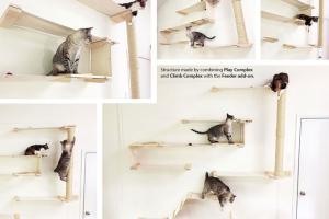 Cat Mod Modular Climbing System