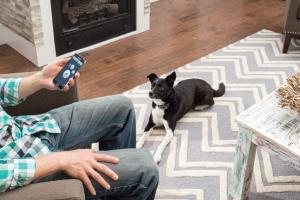 PetSafe SMART Dog Trainer with iOS/Android App