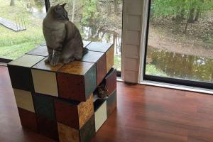 Rubik’s Cube Cat Bed