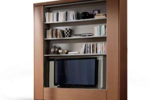 Amore Revolving TV Murphy Bed