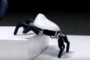 HEXA All-terrain 6-Legged Robot Spider