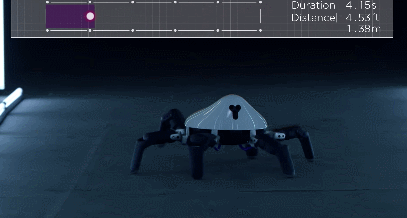 hexa-spider-robot