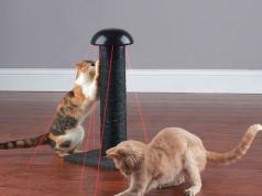 Laser Chasing Scratch Post for Cats