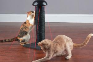 Laser Chasing Scratch Post for Cats