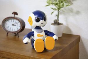 Motto Nakayoshi Robi Jr Miniature Robot