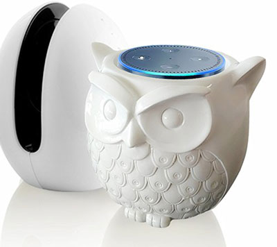 owl-statue-guard-station-for-echo-dot