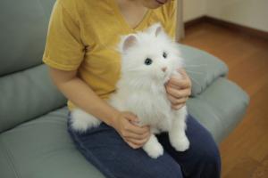 Yume Neko Dream Cat Robotic Pet