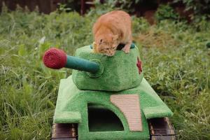 Working Cat Tank with 360-degree Rotating Turret