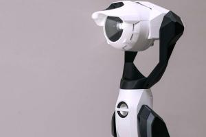 Tipron Internet Connected Robot Projector