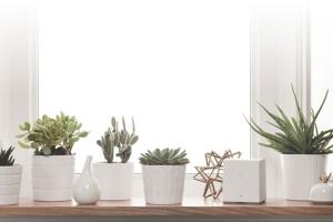 Aura Home Security System Monitors Wireless Signal Disruptions with No Camera