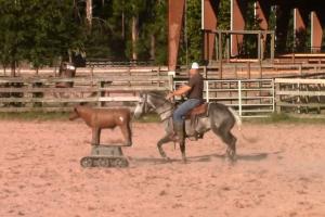 RealCow Robotic Cow to Train Cutting Horses