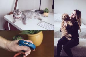 Scollar Mini Smart Collar for Dogs & Cats