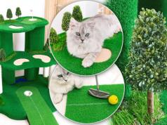 This Cat Golf Course Keeps Your Cats Relaxed