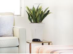 GrowBot Smart Planter: Grow Your Own Food